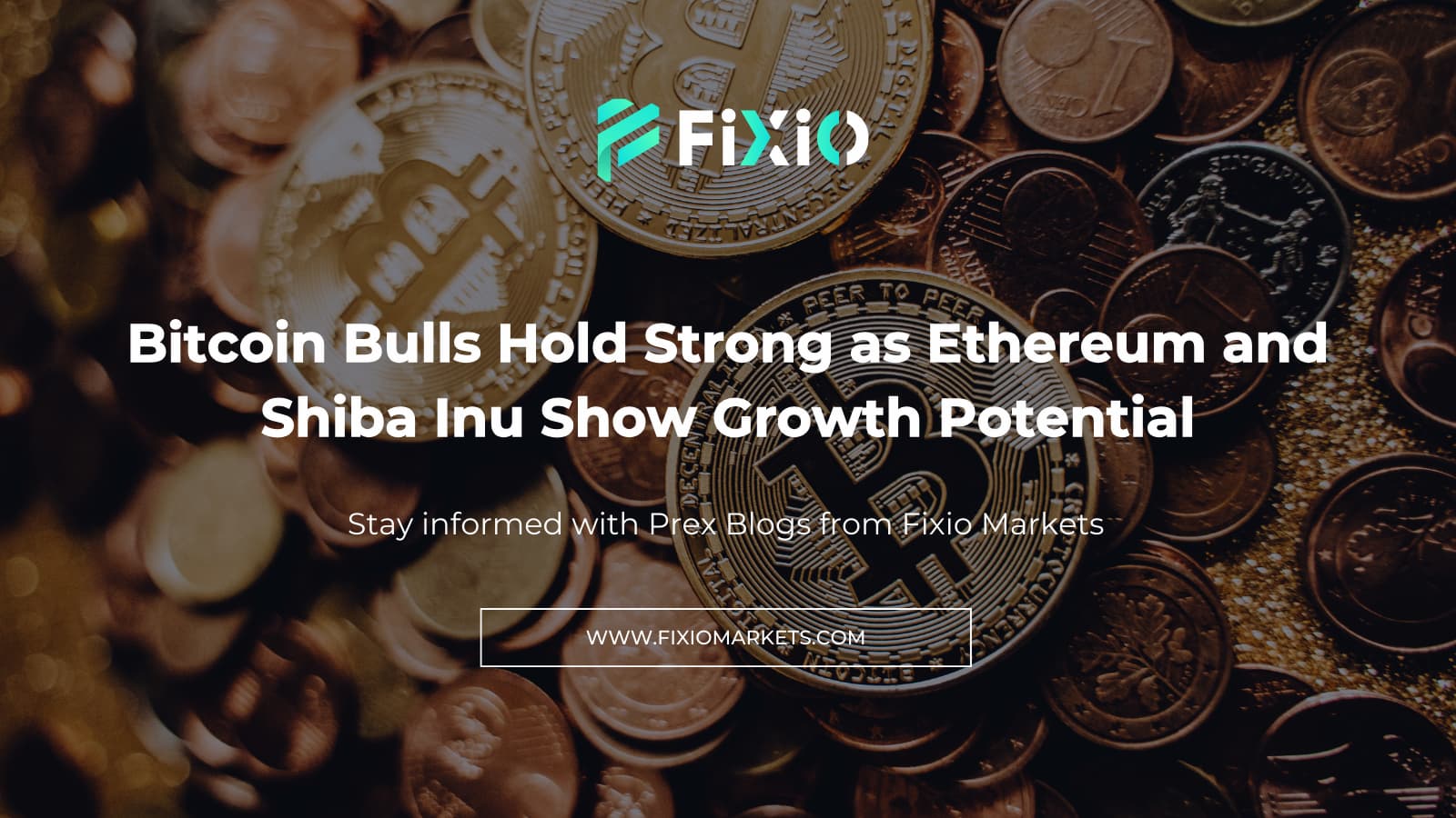 Bitcoin Bulls Hold Strong as Shiba Inu and Ethereum Rise