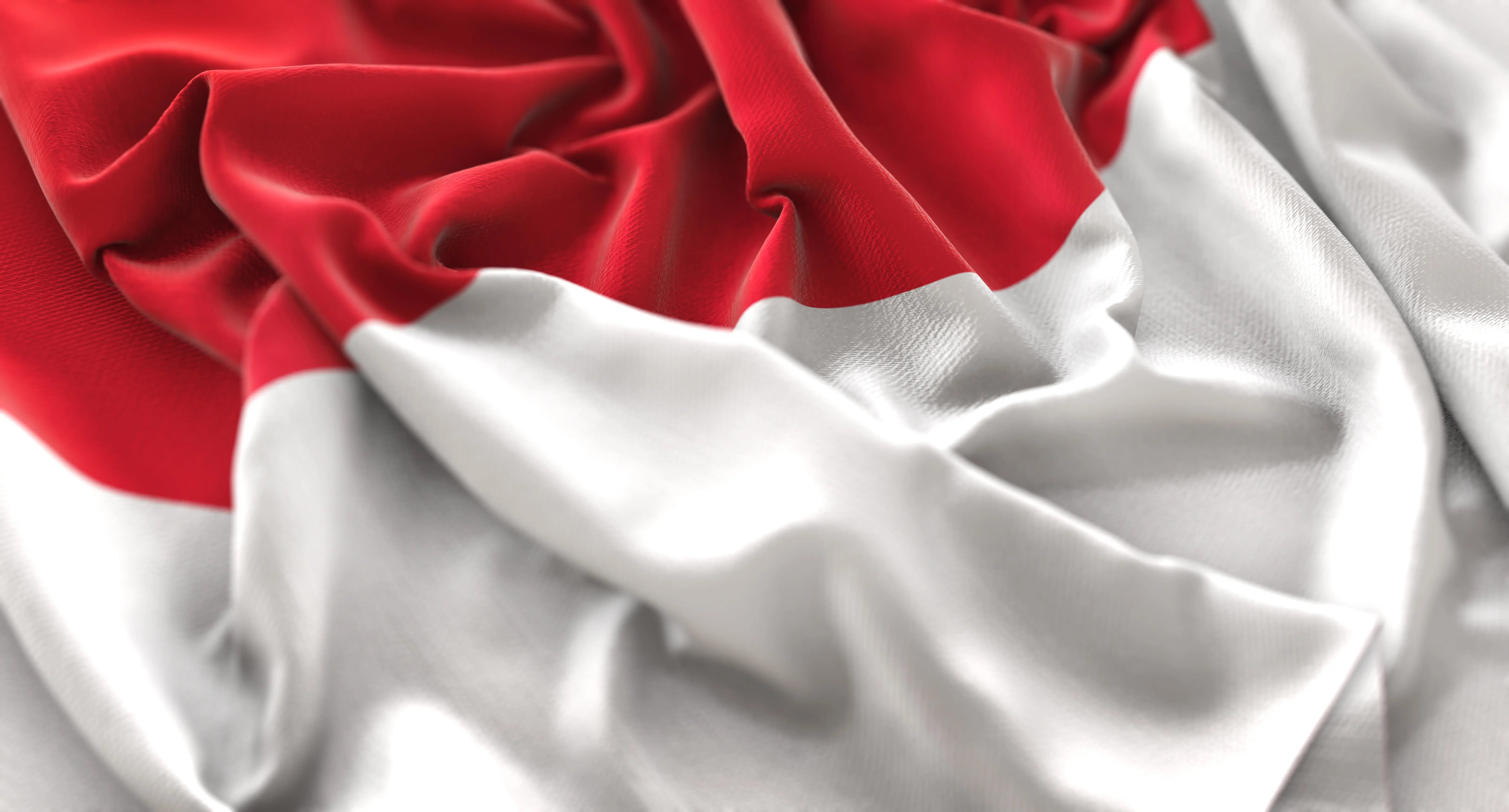 Pandemic, Profits, and Potential: Analysis of the Polish and CEE Retail Trading Boom